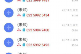 红原为什么选择专业追讨公司来处理您的债务纠纷？